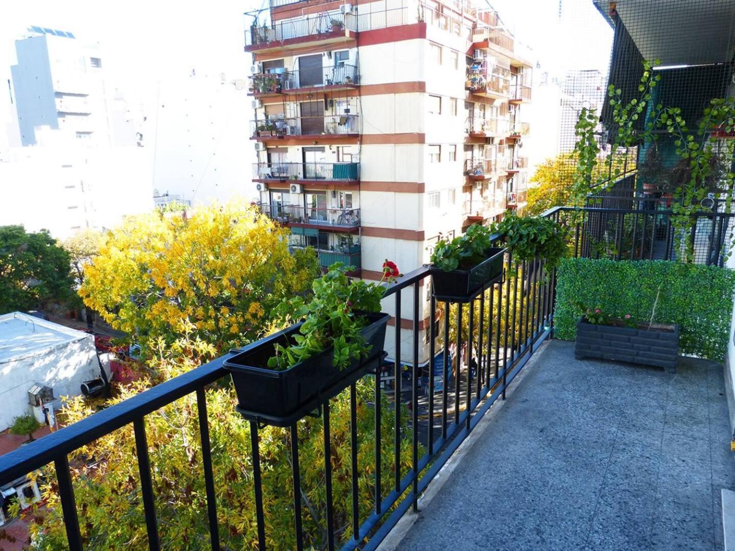 Apartment Sunny Yatay